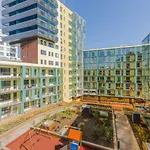 Quiet & Modern Downtown 1Br, Near Bus Station & Airport